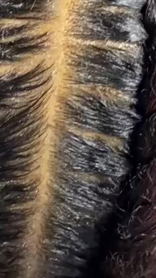 TikTok video thumbnail by rossiesther98
