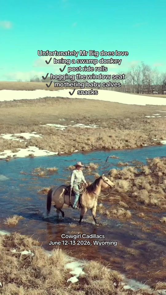 TikTok video thumbnail by amanda_rae.13