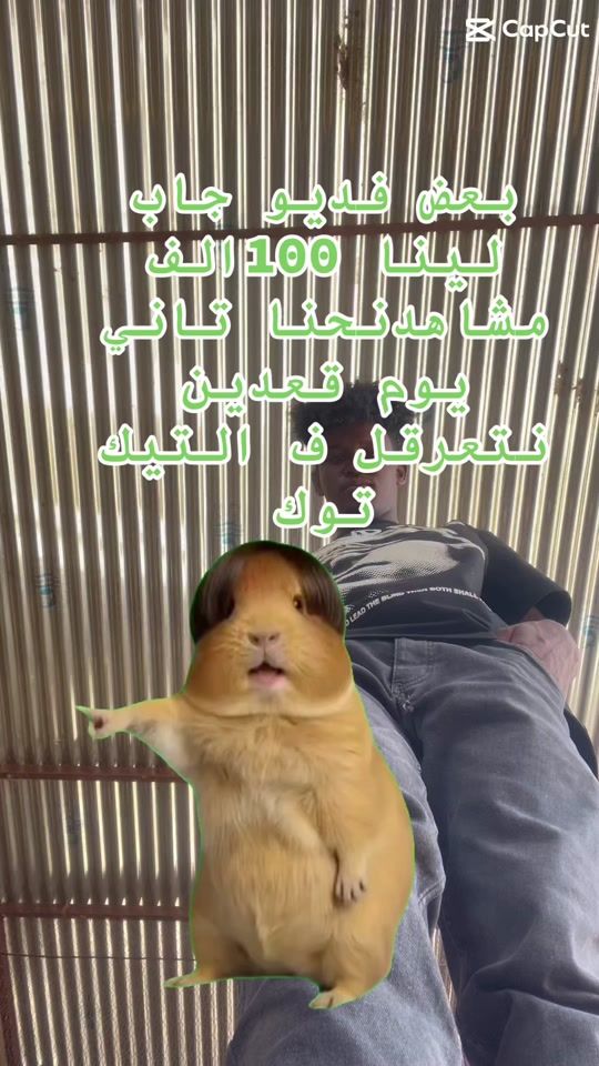 TikTok video thumbnail by .filakat