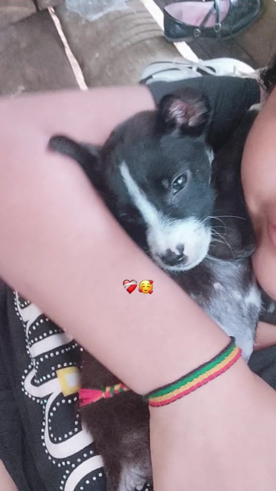 TikTok video thumbnail by castilloadelis0