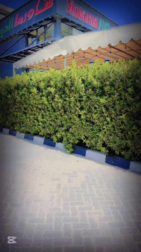TikTok video thumbnail by ansarabbasgohar