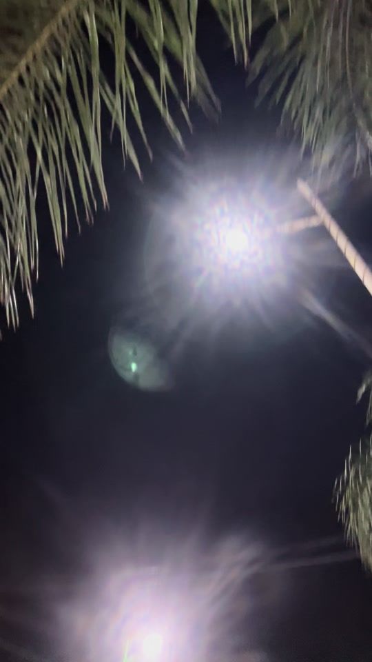 TikTok video thumbnail by mohagucci00