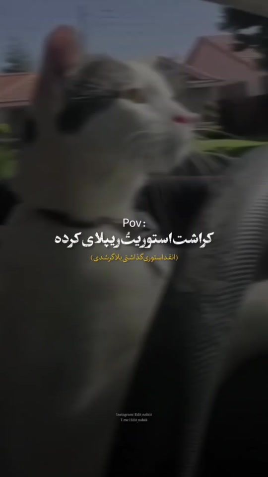 TikTok video thumbnail by mahdi.king.afg2002