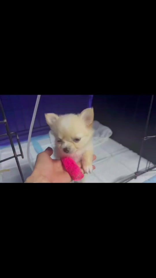 TikTok video thumbnail by anna914317