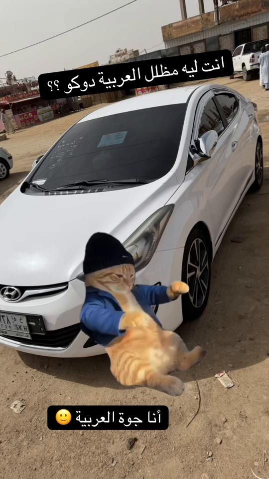 TikTok video thumbnail by morad_iphone