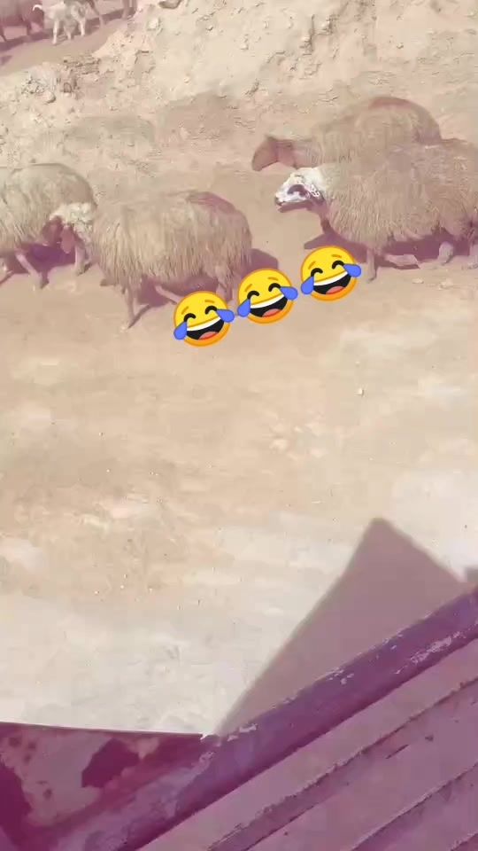 TikTok video thumbnail by hjkki_