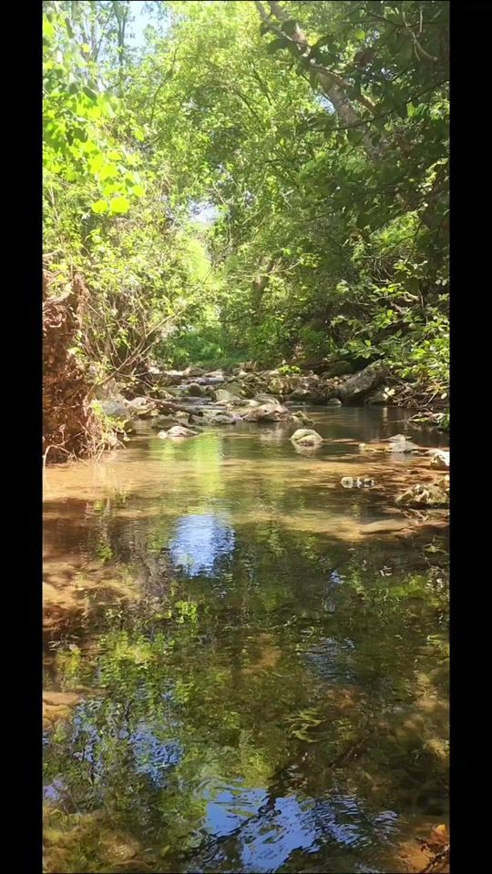 TikTok video thumbnail by mohamed.a880