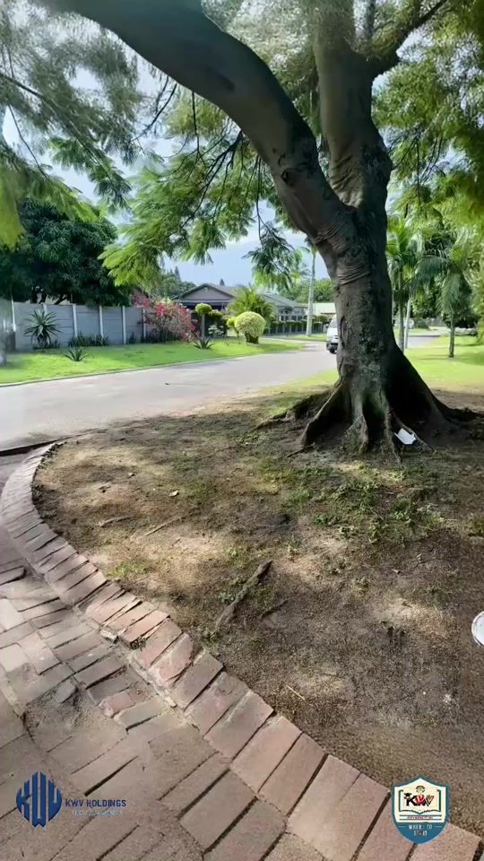 TikTok video thumbnail by wtsacademy