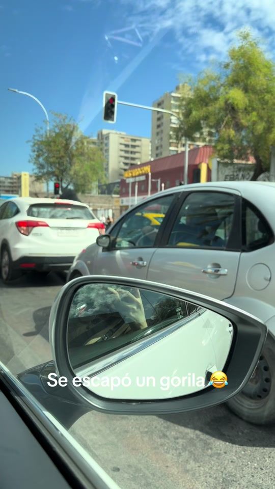 TikTok video thumbnail by vale.grrrr