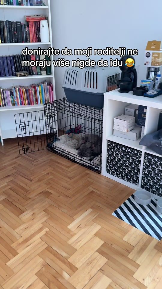 TikTok video thumbnail by zuluthefrenchie