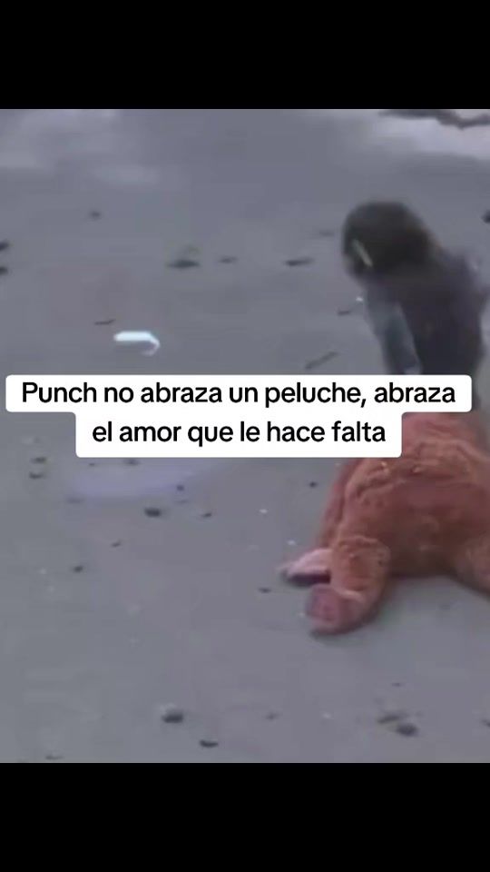 TikTok video thumbnail by joaquinpl_7
