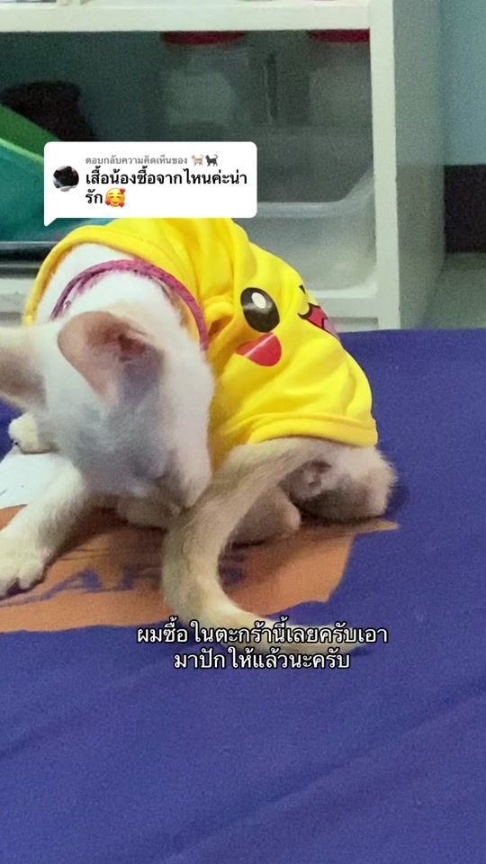 TikTok video thumbnail by aa_dd_27