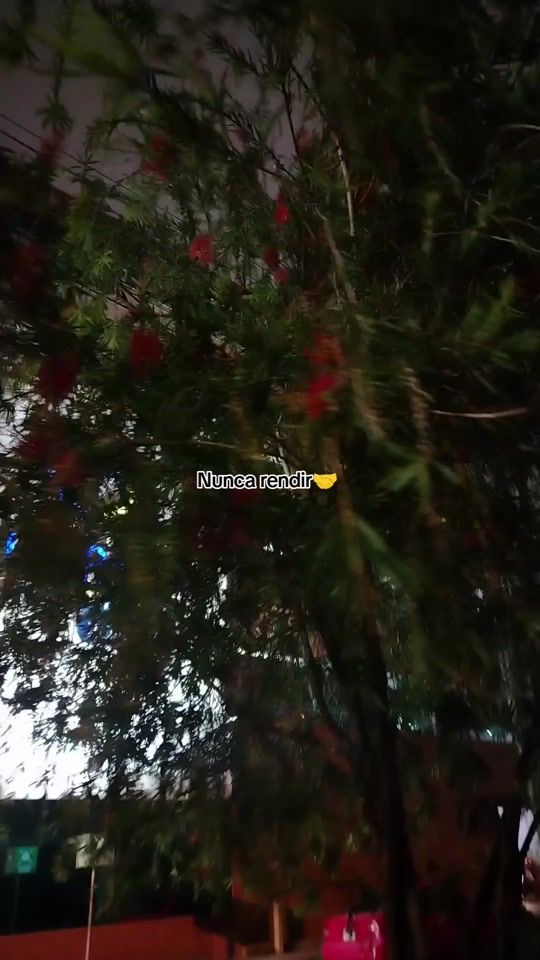 TikTok video thumbnail by xoldavidcito1