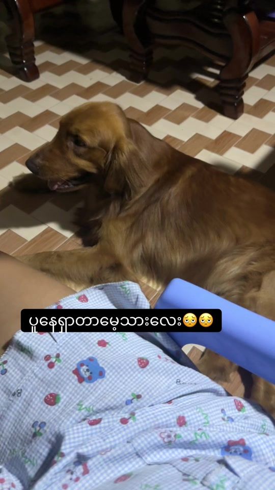 TikTok video thumbnail by poeeijun