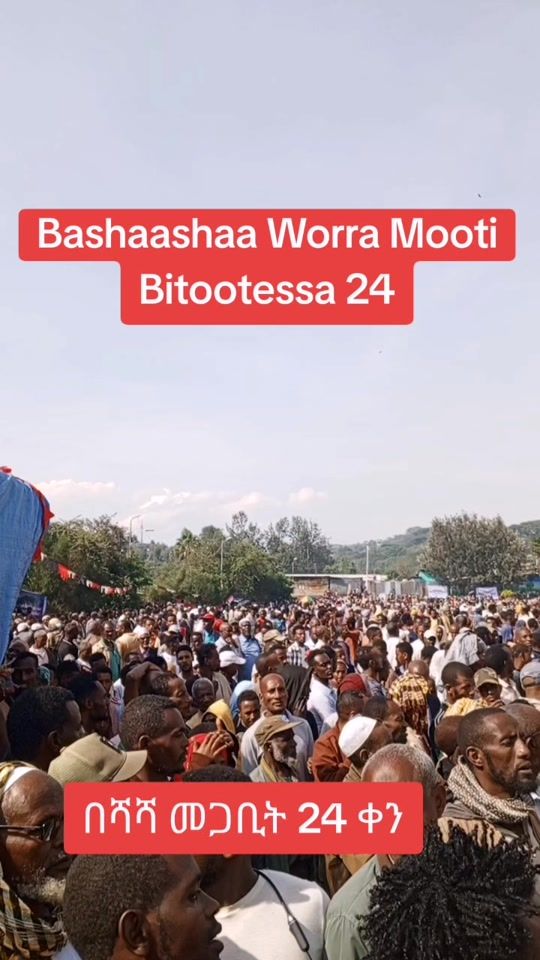 TikTok video thumbnail by beshashacity
