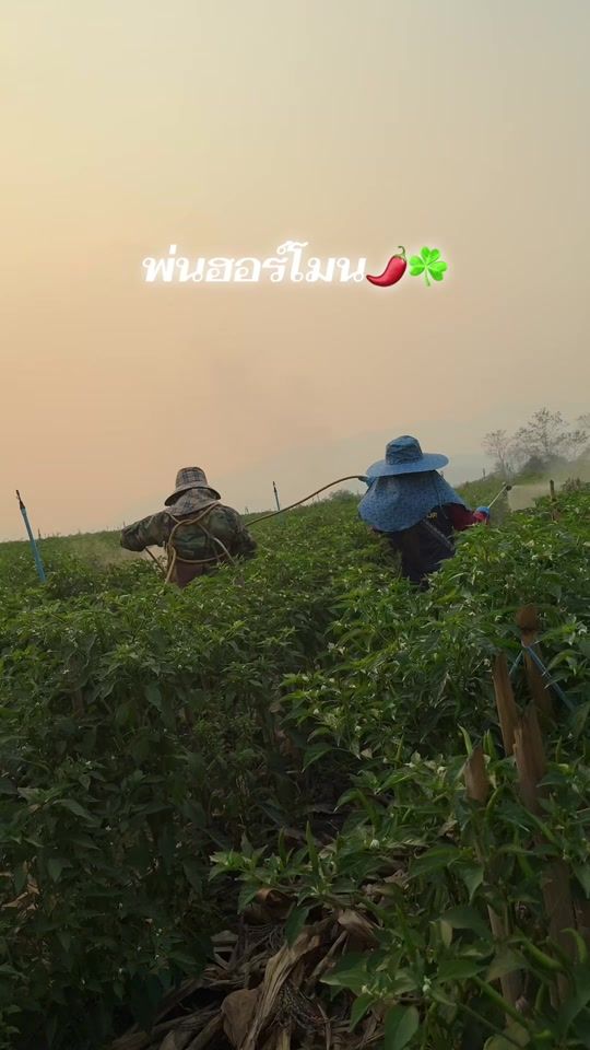 TikTok video thumbnail by 1995jantra