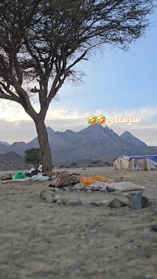 TikTok video thumbnail by khaledalbshare