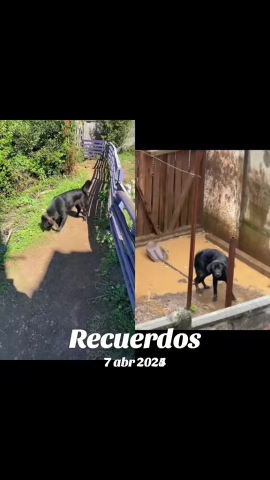 TikTok video thumbnail by nataliaoses20