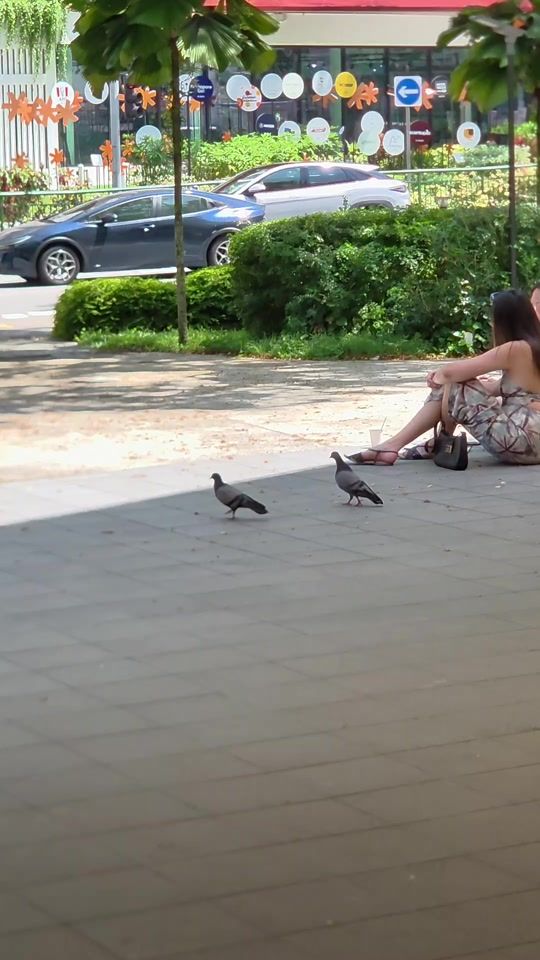 TikTok video thumbnail by jamesethosklaus