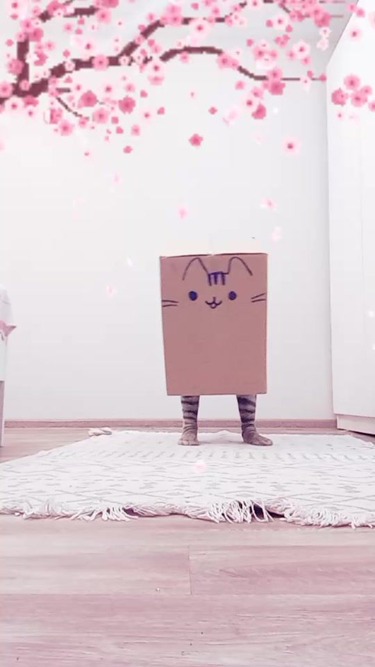 TikTok video thumbnail by .3659120