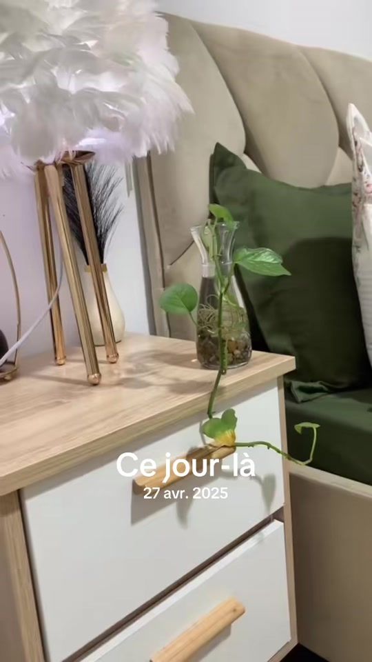 TikTok video thumbnail by malak_deco16