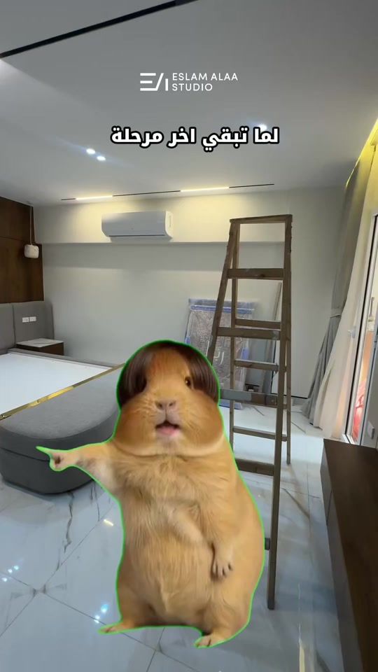 TikTok video thumbnail by eslam_alaa_studio