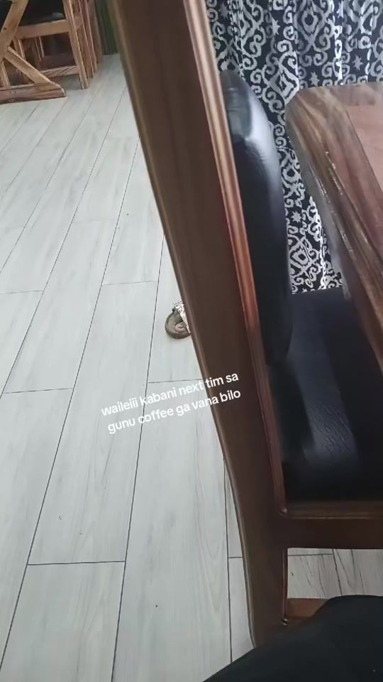 TikTok video thumbnail by prinstongal