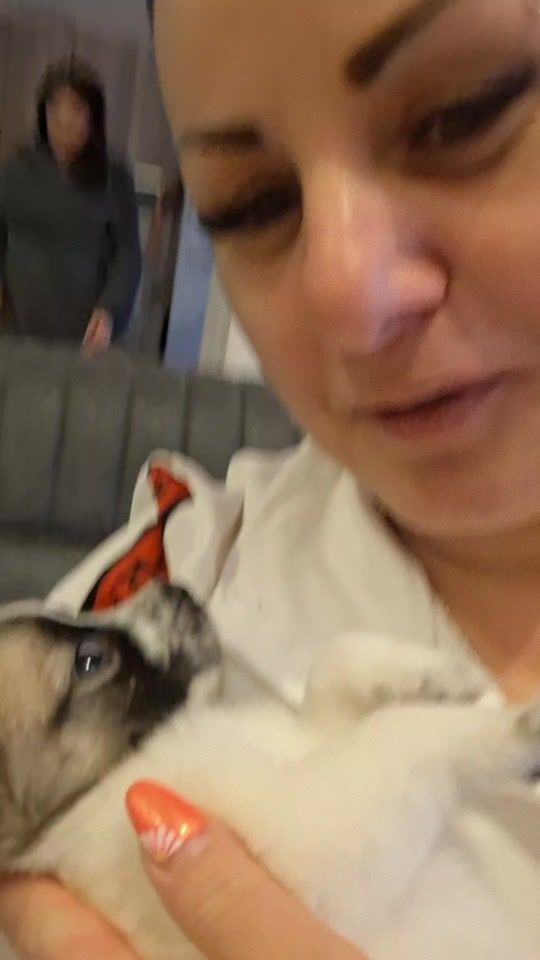 TikTok video thumbnail by maikobaramia