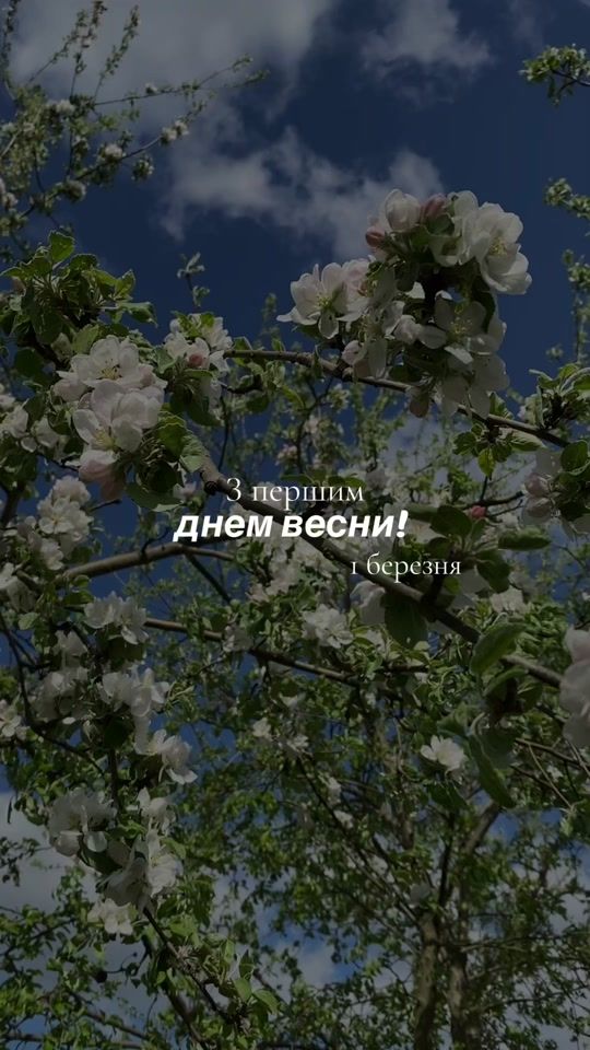 TikTok video thumbnail by vet_kond