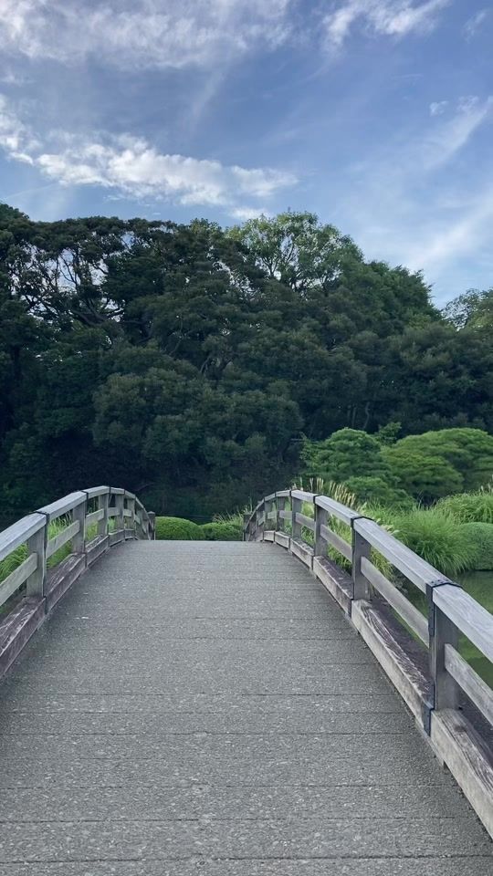 TikTok video thumbnail by pharaoh_no_kaicho