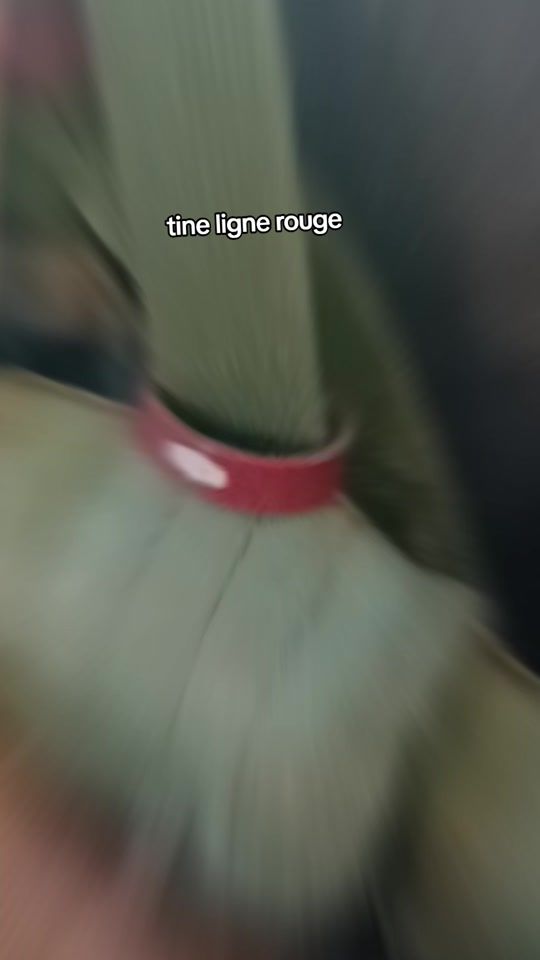 TikTok video thumbnail by ina_houndi___235