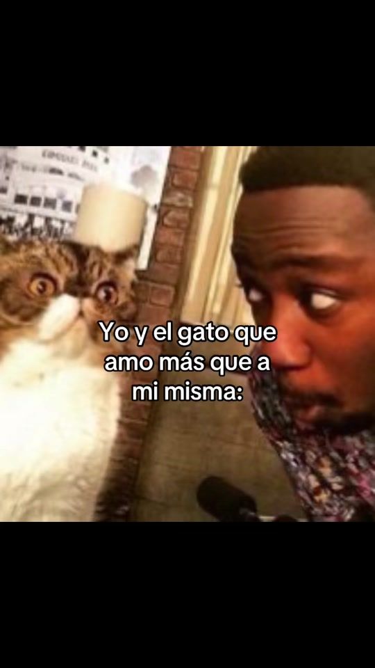TikTok video thumbnail by avipecezuela