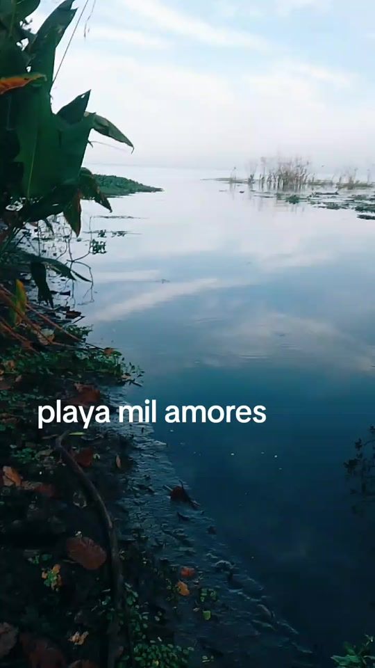 TikTok video thumbnail by adonilima349