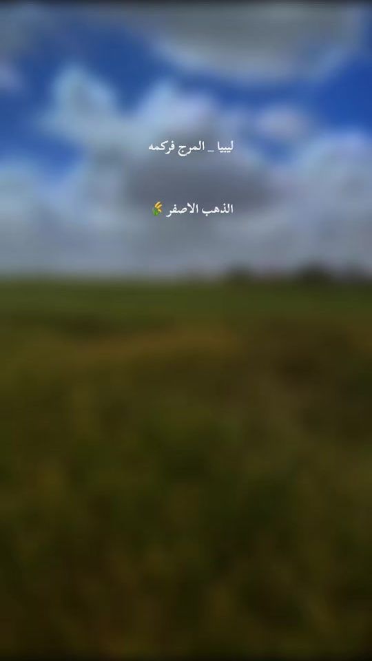 TikTok video thumbnail by alarafee93