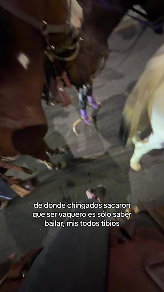 TikTok video thumbnail by molina.santiagooo