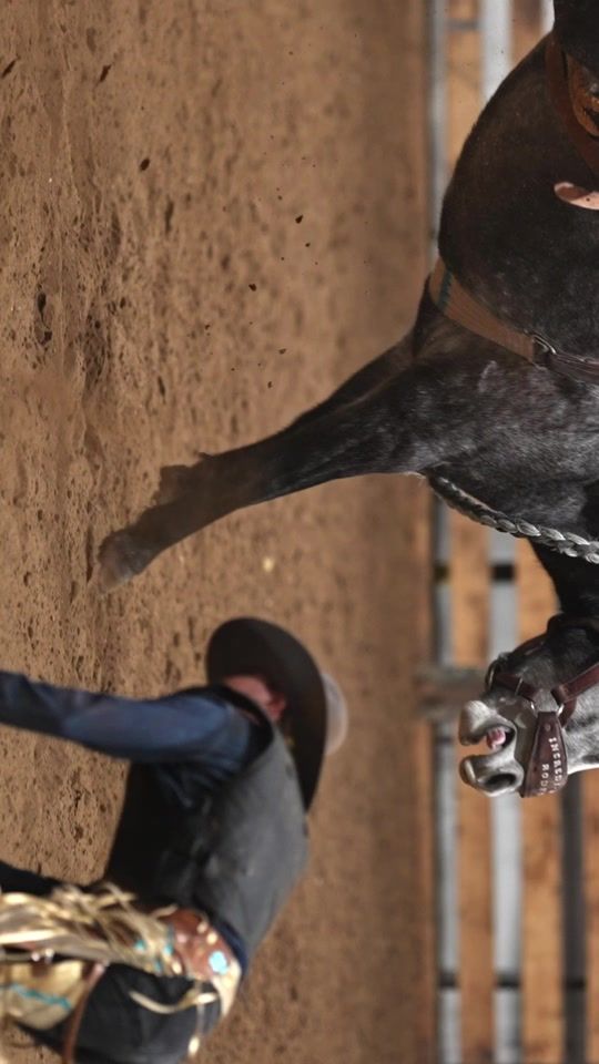 TikTok video thumbnail by hanginghorses