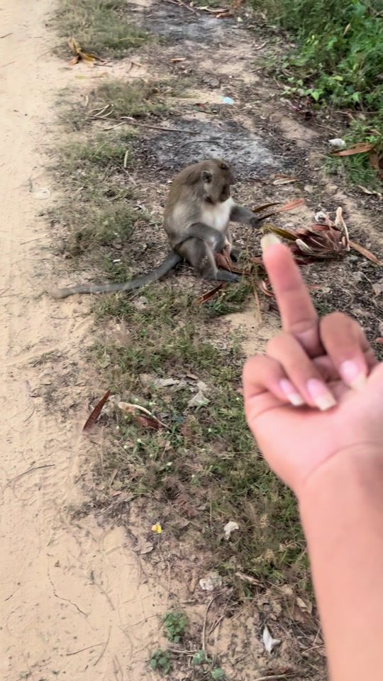 TikTok video thumbnail by savath1688