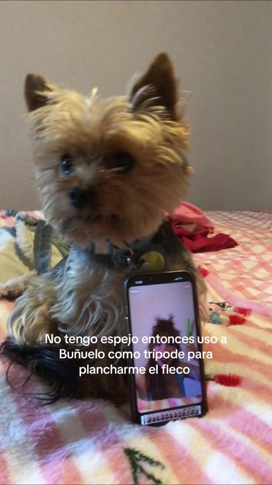 TikTok video thumbnail by bunny_gabs