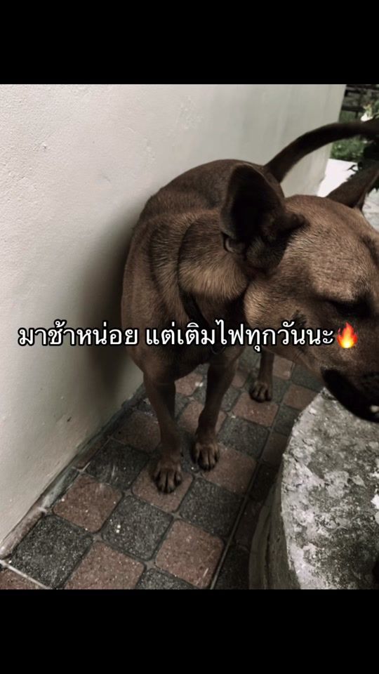 TikTok video thumbnail by 06__10__20_______11_06_