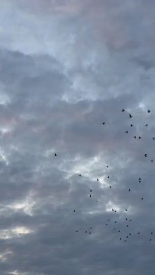 TikTok video thumbnail by al_sayed3133