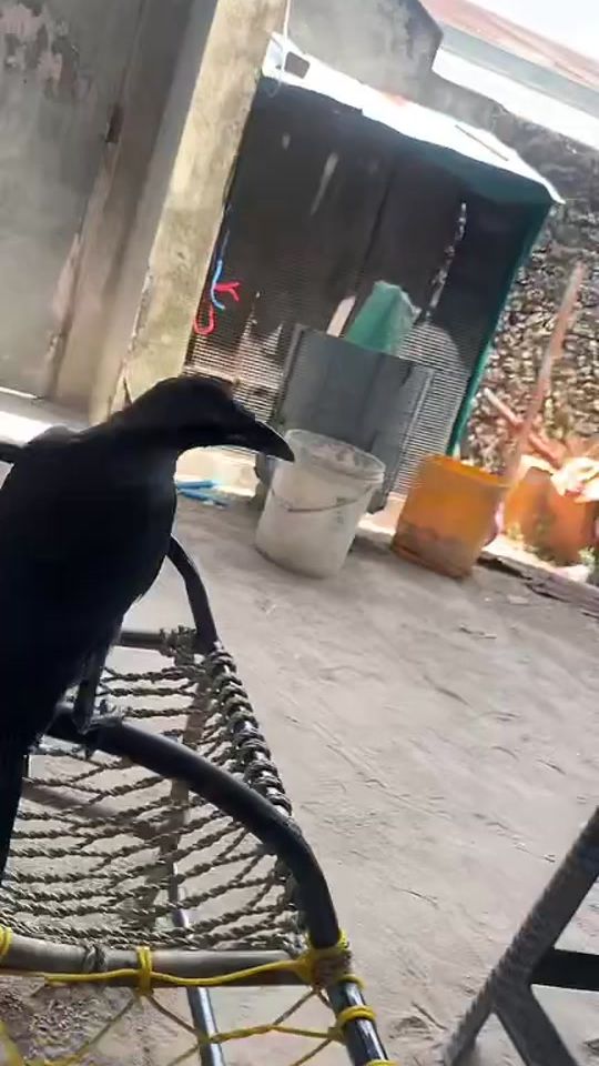 TikTok video thumbnail by baneydereck