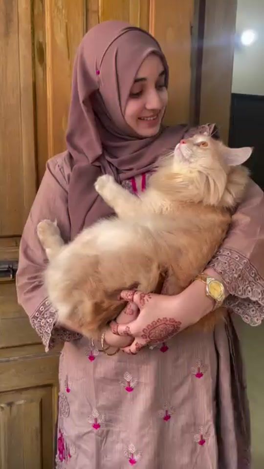 TikTok video thumbnail by hubba173