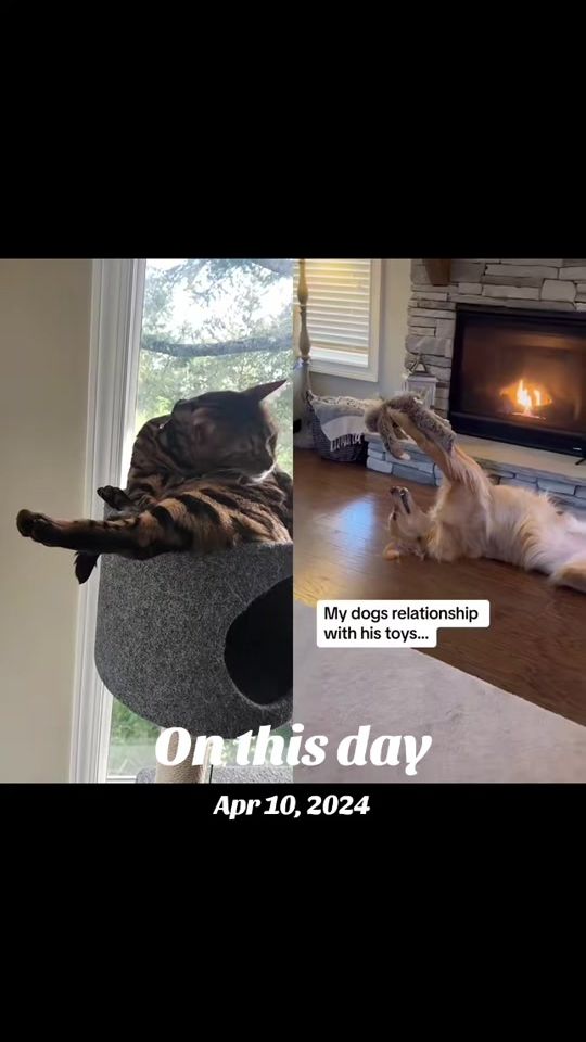 TikTok video thumbnail by shredmaster3000