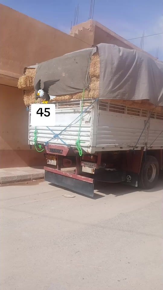 TikTok video thumbnail by laid_45__naama