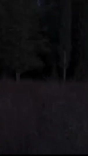 TikTok video thumbnail by hanssllanoss