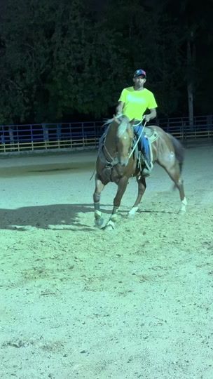 TikTok video thumbnail by jv_performancehorses