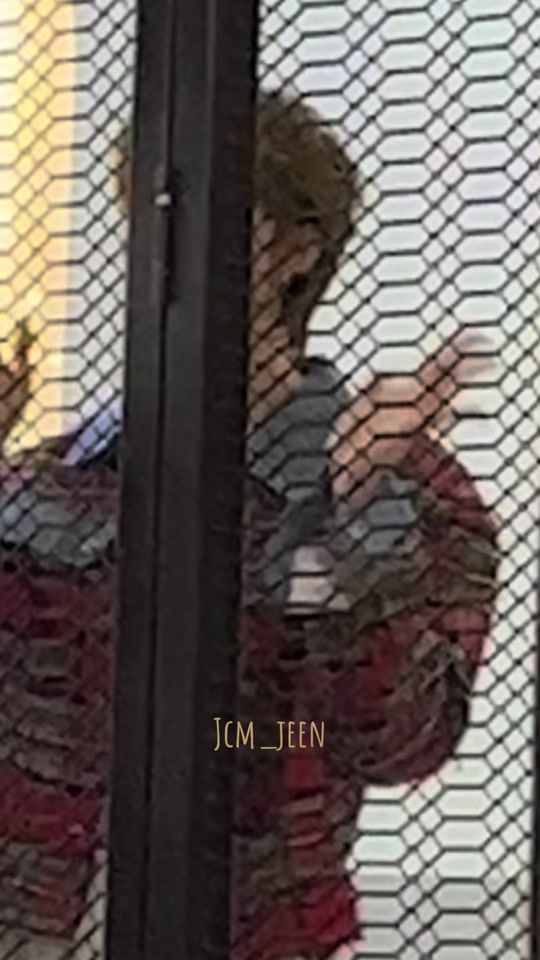 TikTok video thumbnail by jcm_jeen