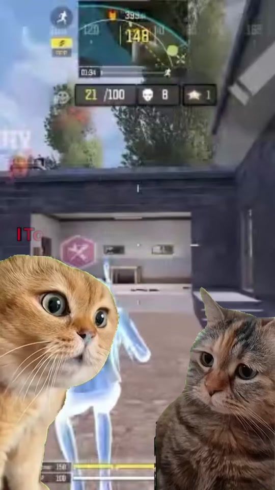 TikTok video thumbnail by sunflowerontt