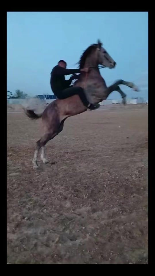 TikTok video thumbnail by slmansa855