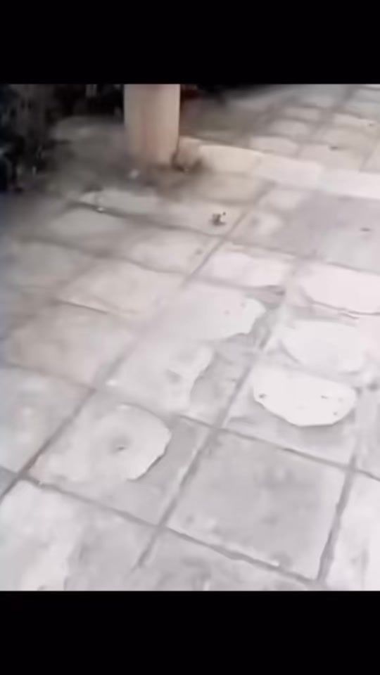 TikTok video thumbnail by vedatsanir_